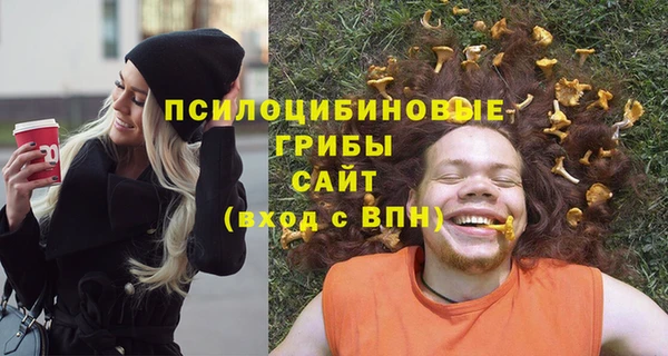 2c-b Тайга