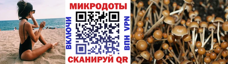 Псилоцибиновые грибы GOLDEN TEACHER  Меленки 